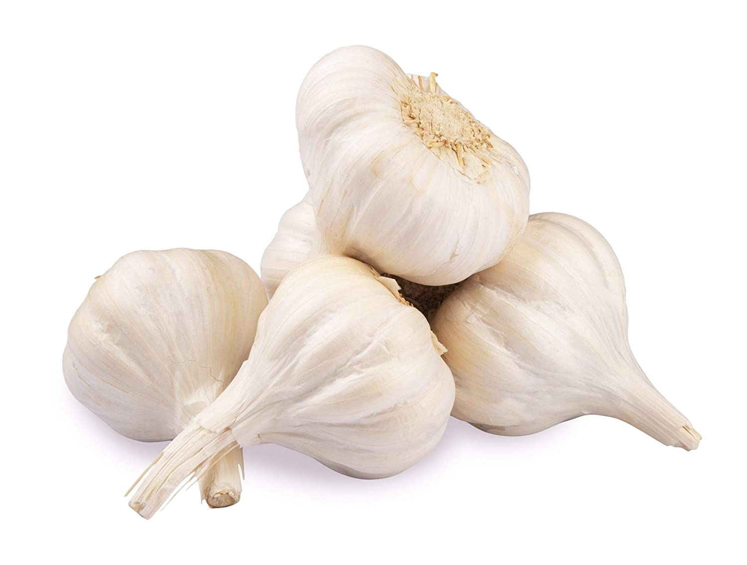 The Growers G1 Garlic 